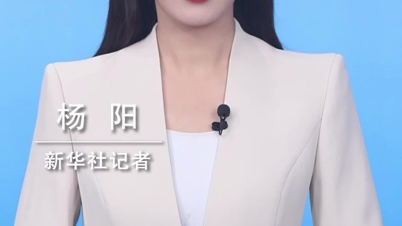企业搜索与大数据搜索引擎：本质区别与选择要点